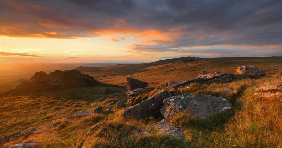 A Day Trip from Plymouth to Dartmoor's Ancient Heart