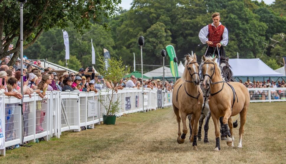 What to Expect at the New Forest Show 2026