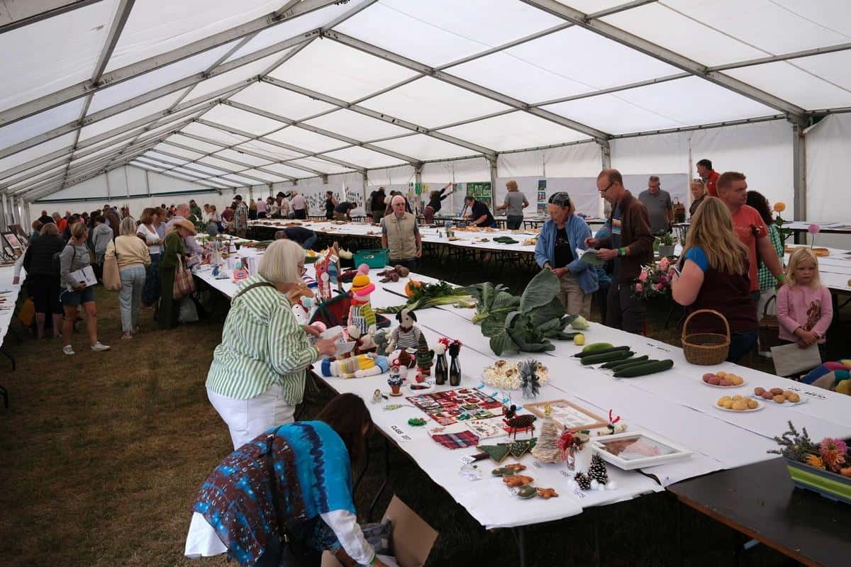 Rosedale Show: a proper Moors day out