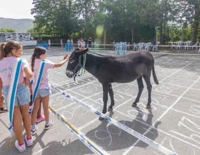 Cagà de la burra: 1.000 euros y una mañana en la huerta