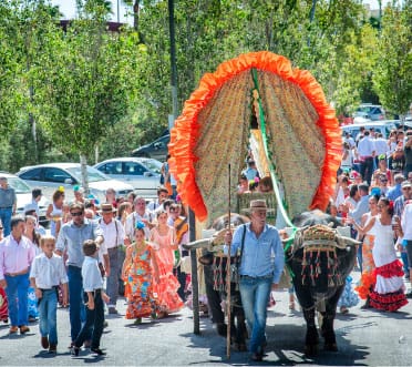 Romería de Torremolinos 2026: guía práctica