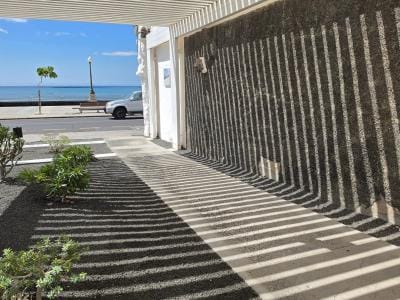 La Línea y la Sombra: el jardín que renace en Arrecife