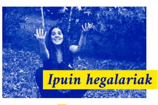 Ipuin hegalariak
