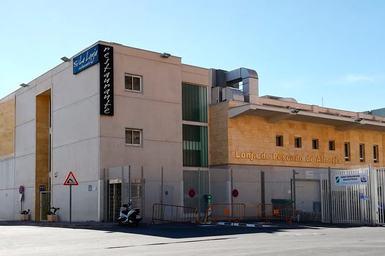 La Lonja de Almería: arroces con vistas al puerto