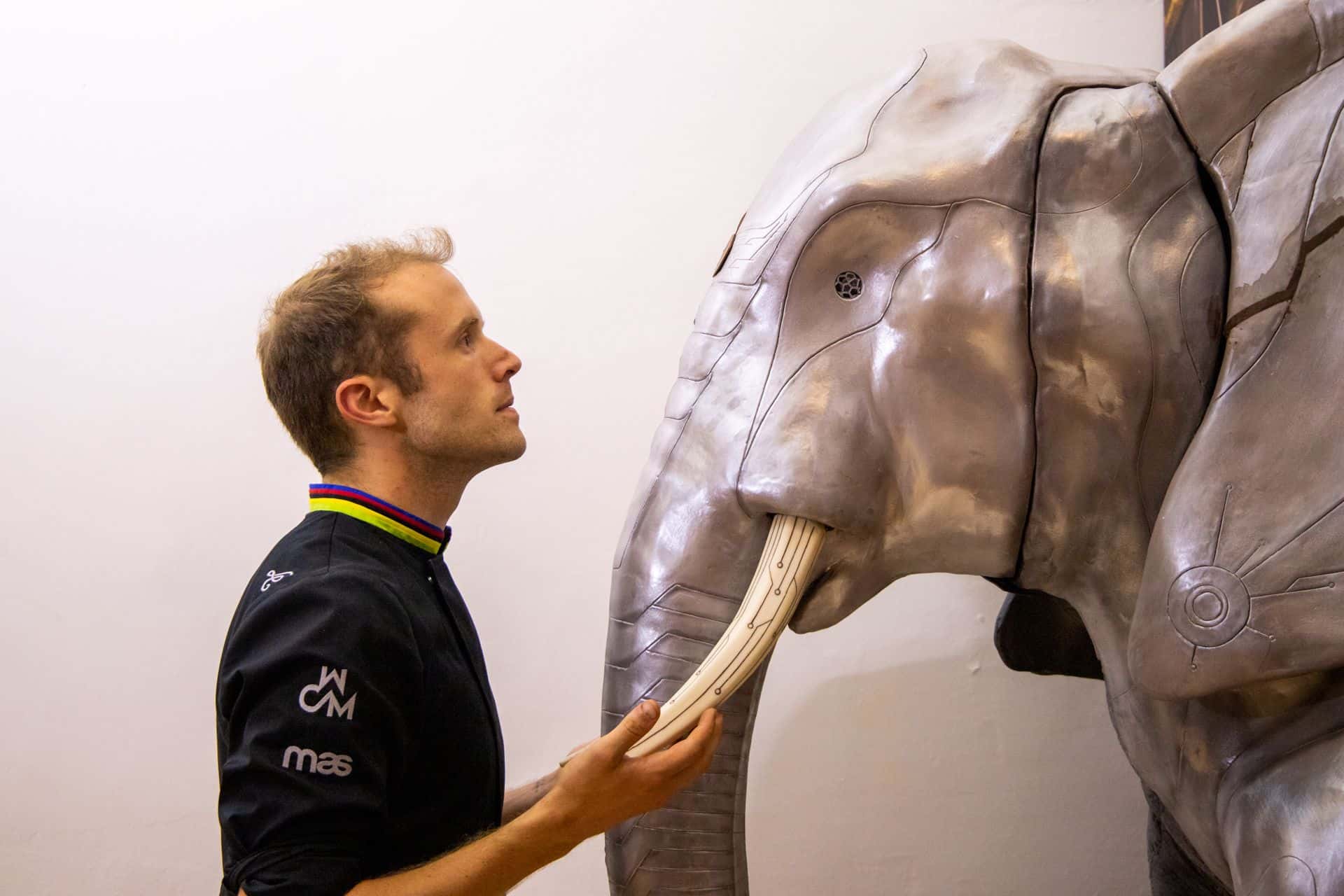 Proyección de Lluc, una crónica de la pastelería