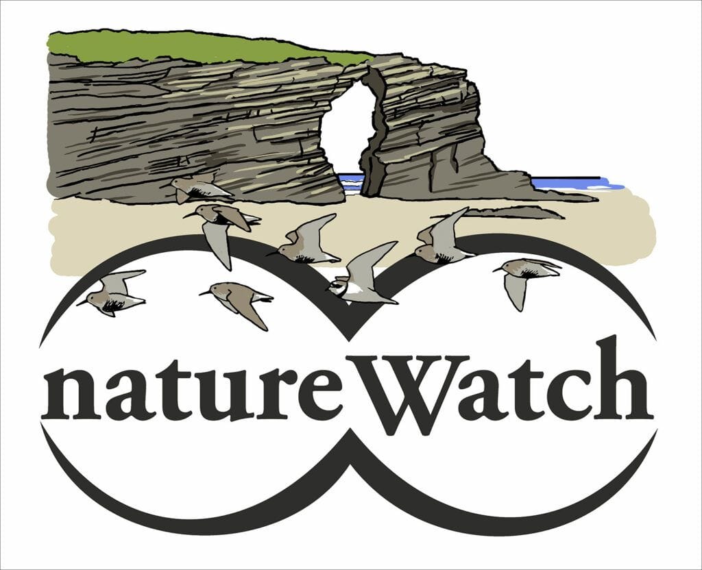 II Festival del Pico Mediano