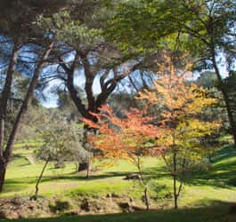 Monte del Pilar: ruta circular y fácil junto a Majadahonda