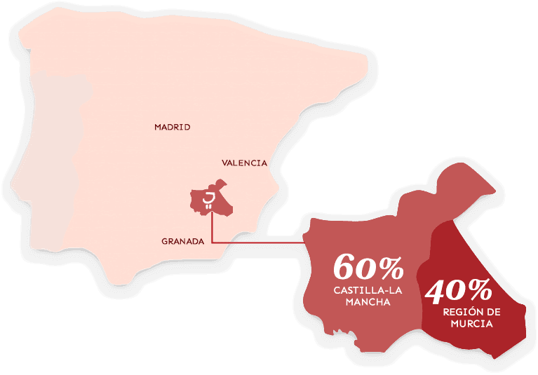 Los mejores vinos DOP Jumilla para brindar este verano