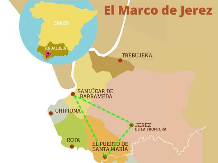 La vendimia en Sanlúcar: bodegas para visitar este verano