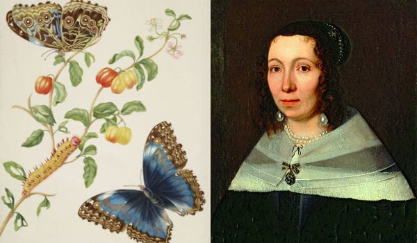 Ellas ilustran botánica. Pioneras de la ilustración científica