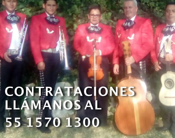 Actuación Mariachis Estampas de Mexico