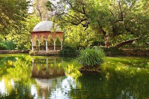 Paseo por el Parque de María Luisa tras su reforestación
