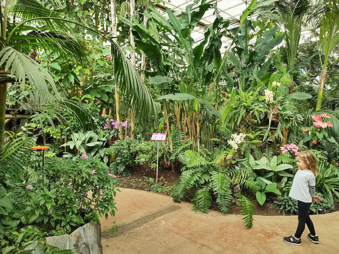 Mariposario y Selwo Marina: plan familiar en Benalmádena