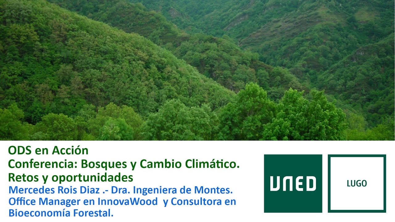 Taller de Acuarela en la Naturaleza y Baño de Bosque