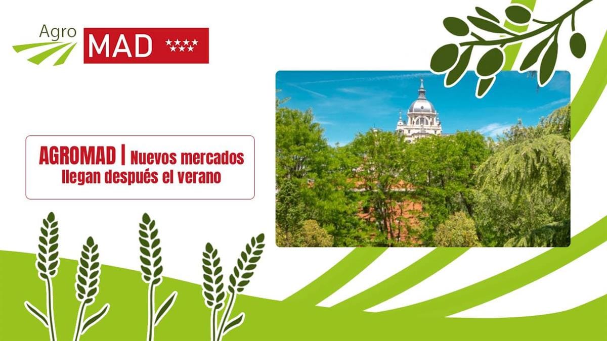Del campo madrileño a tu mesa: el mercado itinerante
