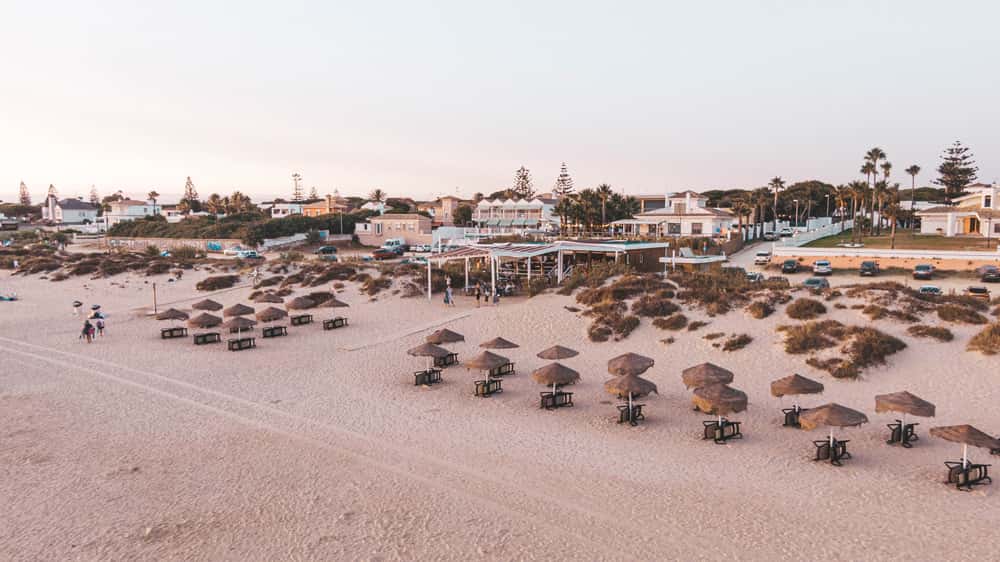 Mojama Beach: cocina mediterránea en la Barrosa