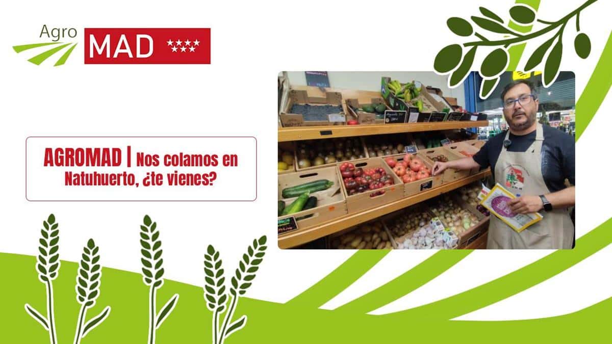 AGROMAD y el mercado de campo en San Sebastián