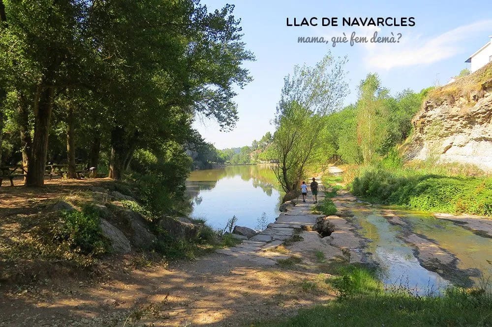 Festa Major de Navarcles: andrómines y carnaval
