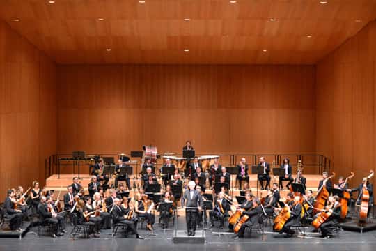 Abono 4 en Pamplona: Idilios - Orquesta Sinfónica de Navarra