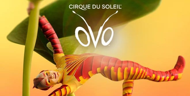 OVO - Circo del Sol