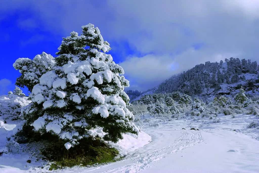 La Sierra de las Nieves estrena sello de ecoturismo