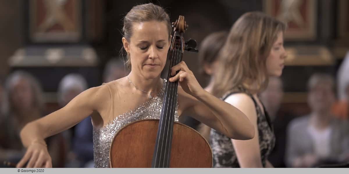 Pájaro de fuego - Berner Symphonieorchester