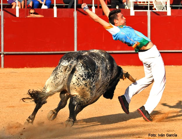 Noche de reconocimientos taurinos en el Palacio del Mar