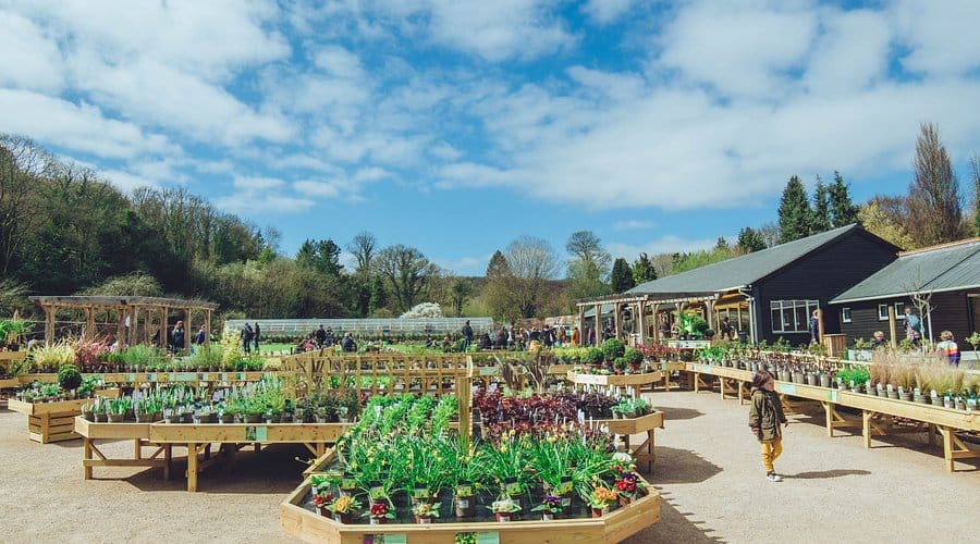 Alternative Mother's Day Experiences in Brighton 2026