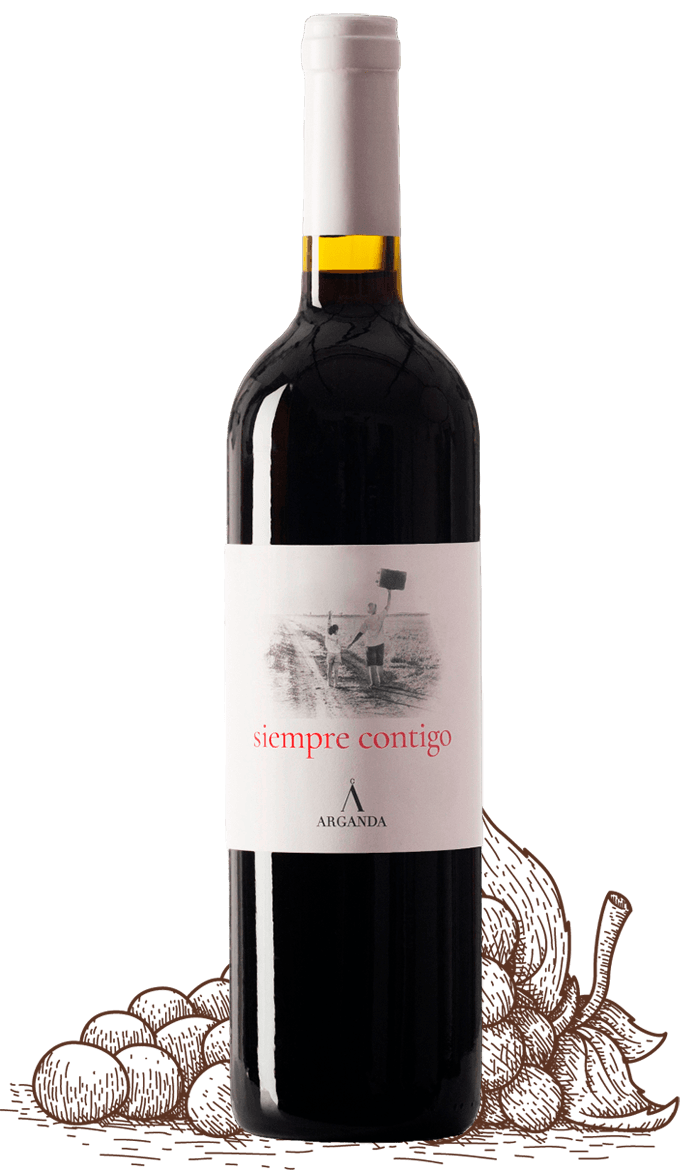 Arganda se vuelve vinícola: bodegas y catas