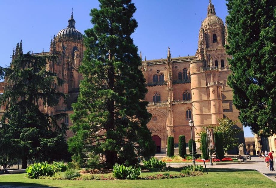 La Feria del Barro sigue en la plaza de Anaya hasta el 23