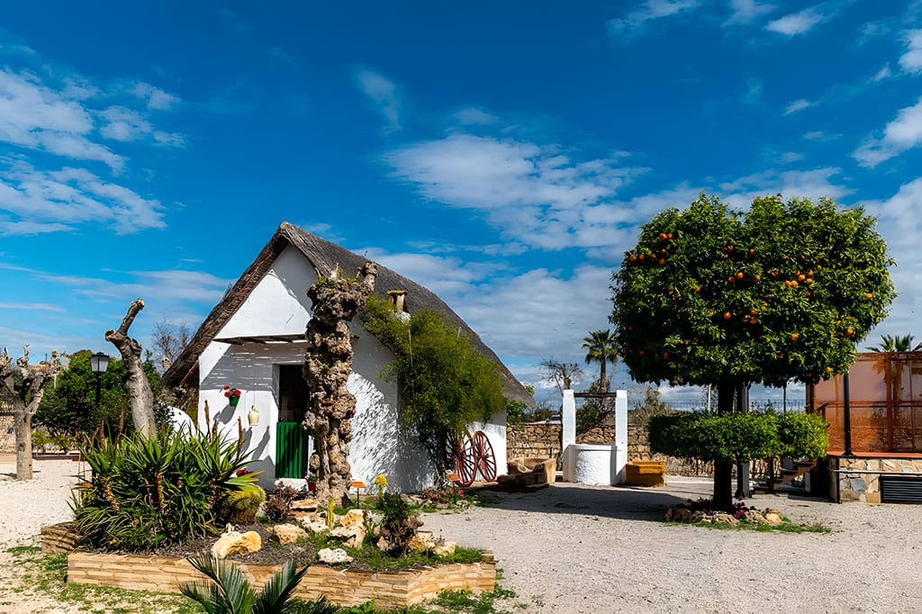 El Museo de la Huerta reabre con sala inmersiva 360º