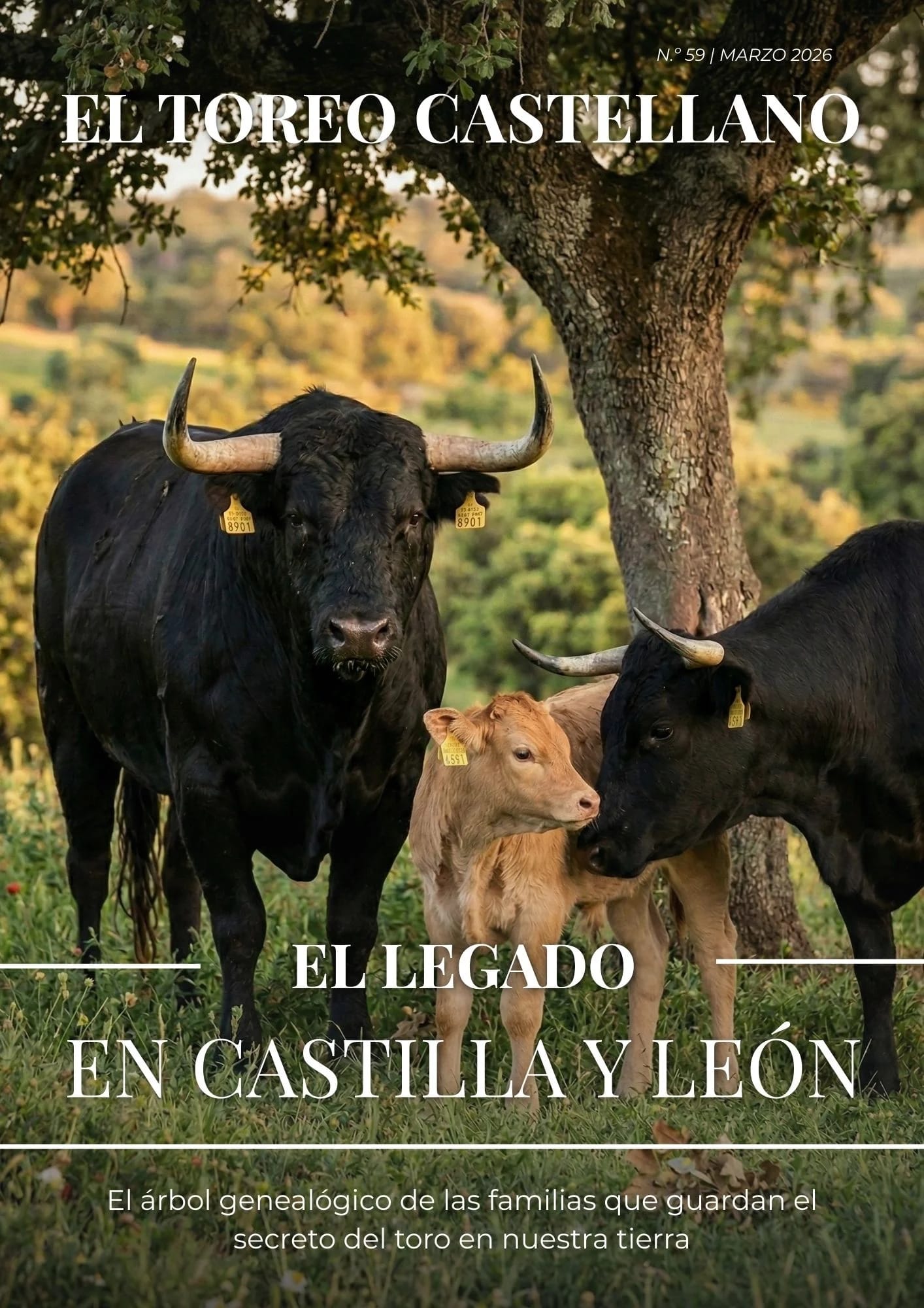 Mirada sobre la tauromaquia de Castilla y León