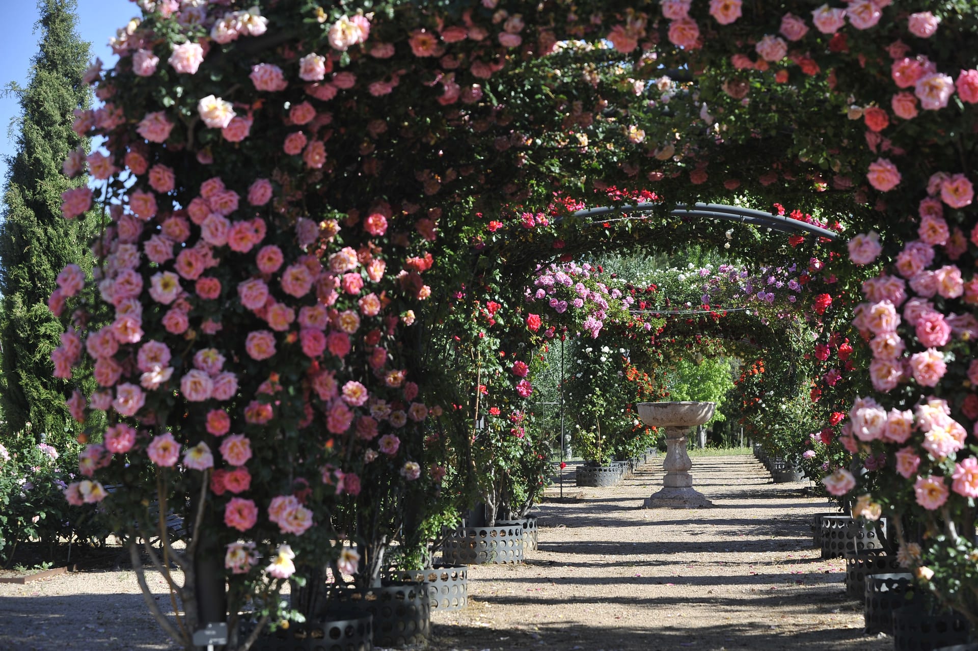 El Jardín Botánico de la UAH y su Xiloteca