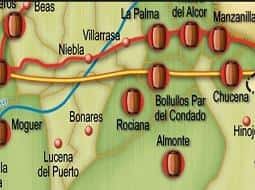 Huelva se rinde al vino: rutas y catas del Condado