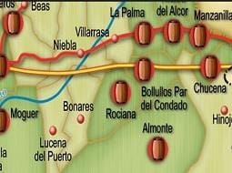 Huelva se rinde al vino: rutas y catas del Condado