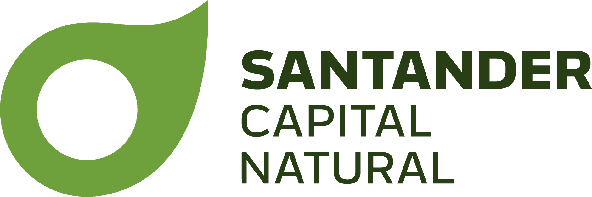 Santander Capital Natural: recolección de semillas silvestres y taller de plantas de aire