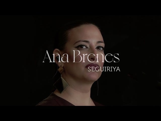 Mientras camino - Ana Brenes