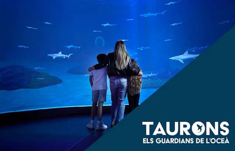 Taurons. Els guardians de l'oceà