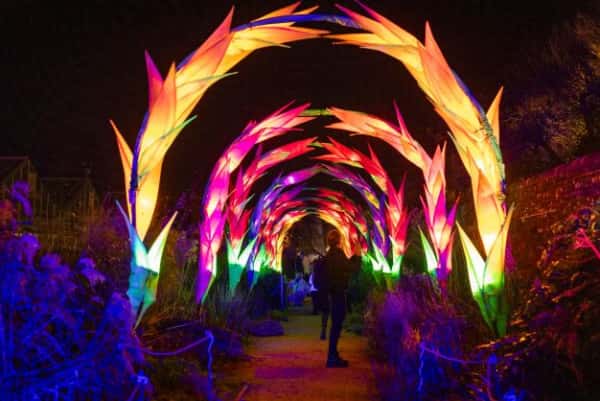 Brighton's winter light trail returns