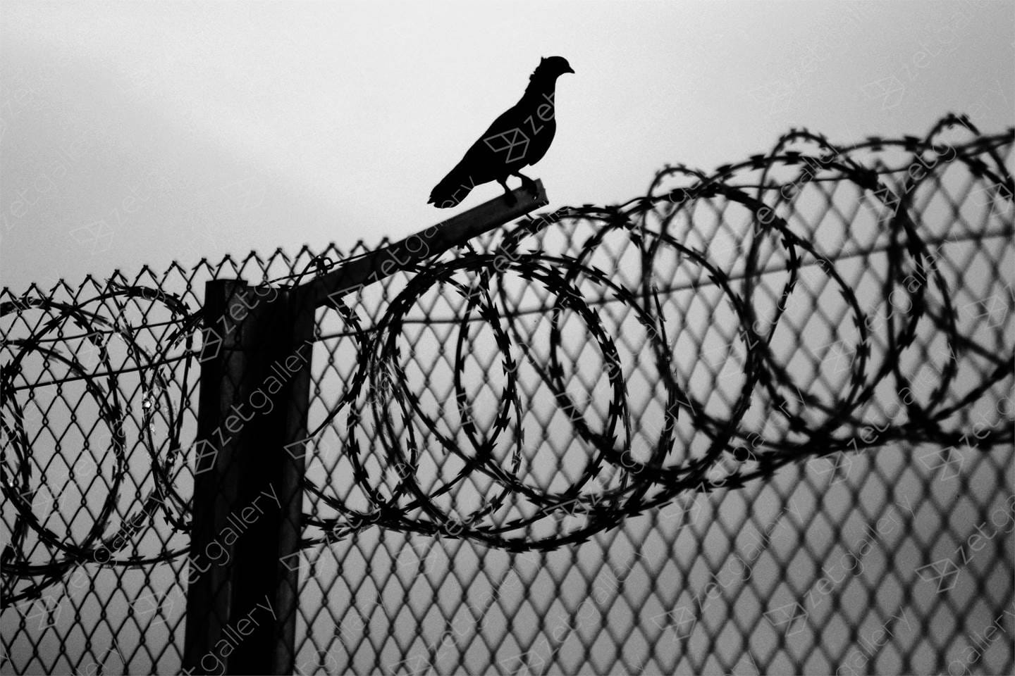 Exposición de Gabriel Tizón en la Bienal de Arte