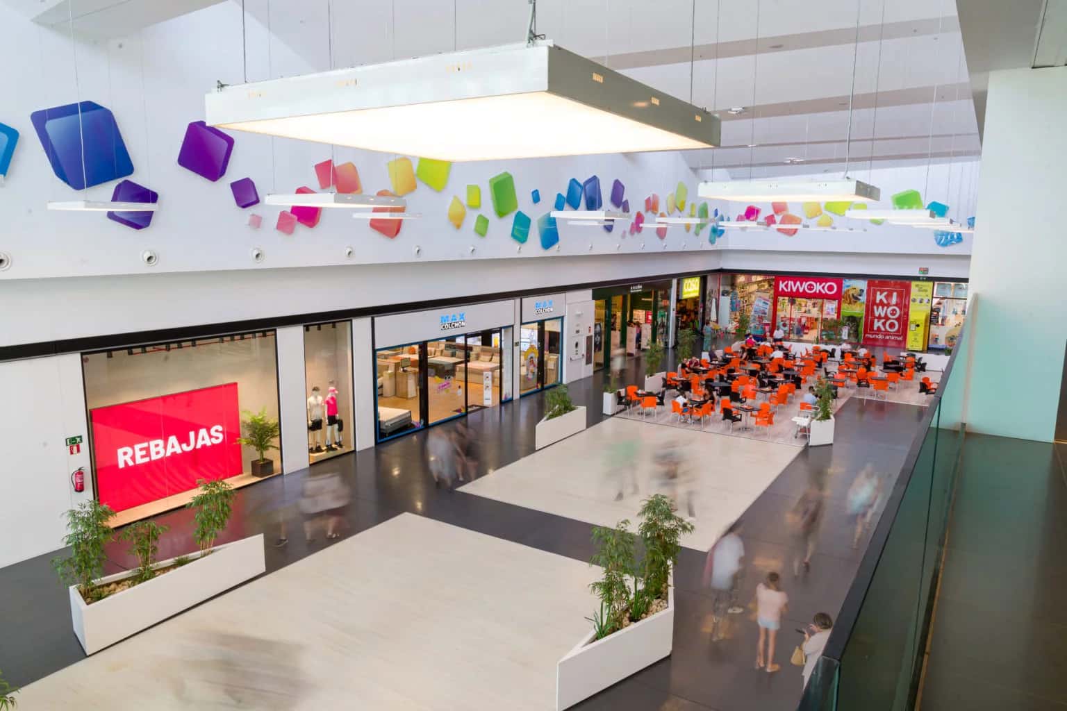 Patinando en Navidad: Guía de la Pista de Hielo de Parque Ferrol