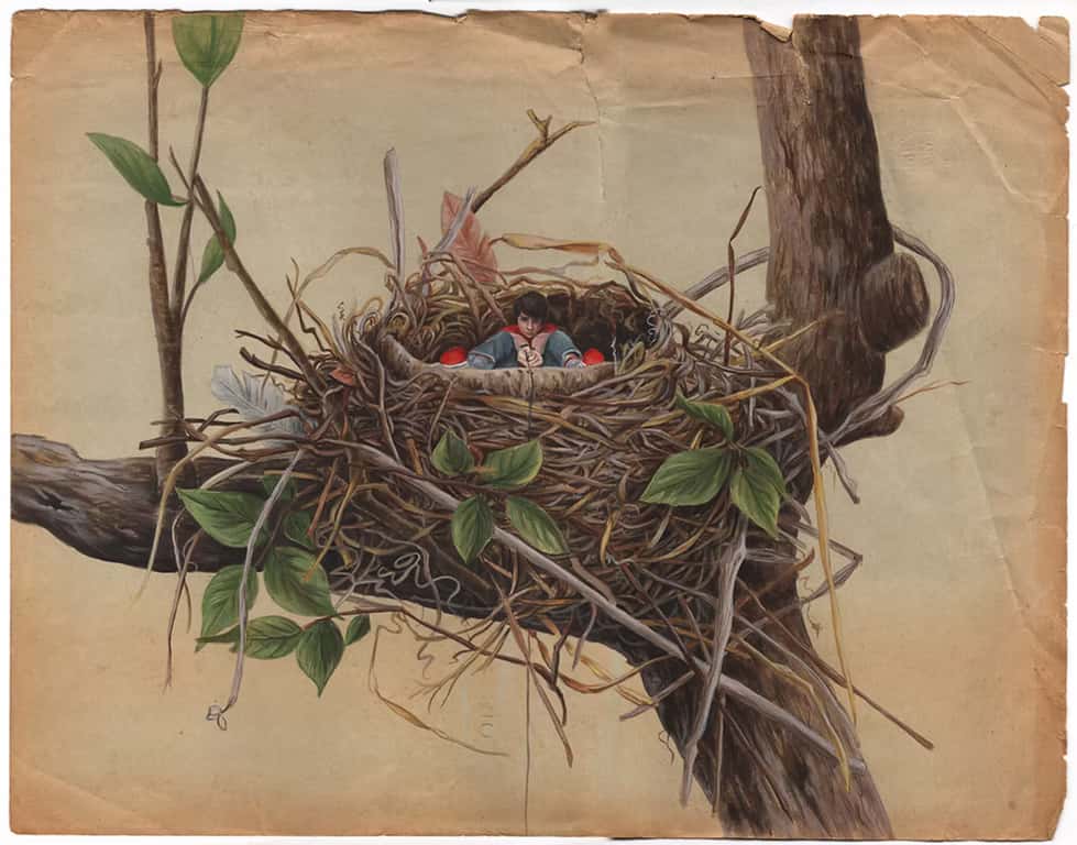 AVISTA: Breviario. Pintura e natureza na obra de Tamara Feijoo