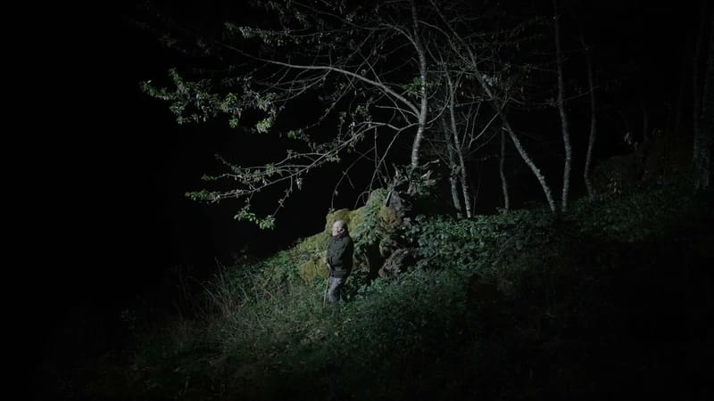 Proyección de 'Corre o Vento'