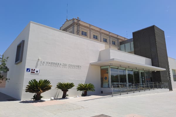 La Filmoteca rescata fiestas veraniegas caseras