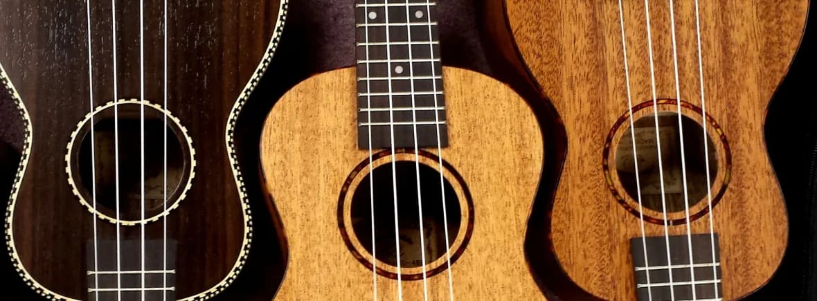 Aprender instrumentos poco comunes en Valladolid