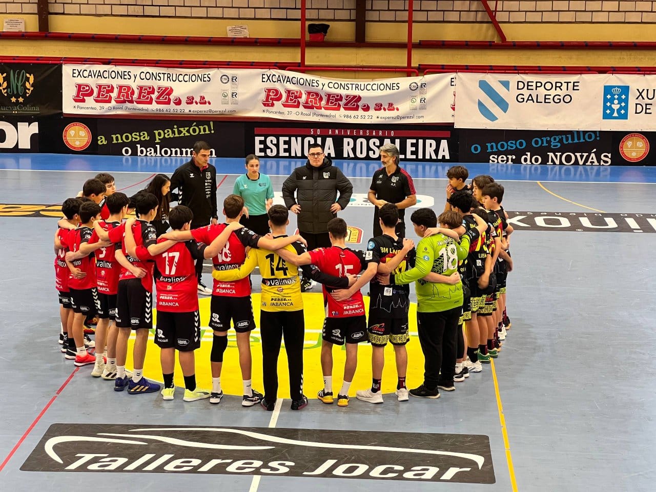 Lirón Teucro - Valinox Novás