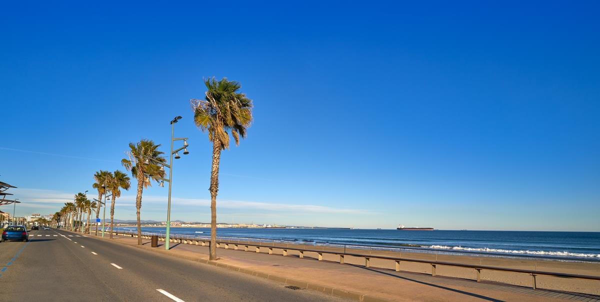 Siete playas dog-friendly cerca de Sant Cugat