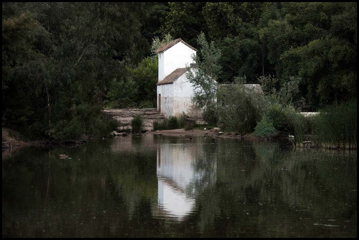 Los Molinos de Alcalá bajo la Luna Llena