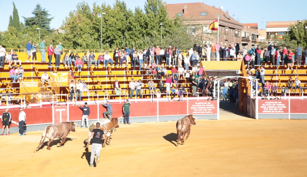 Boadilla: encierros, recortes y novillada en la plaza