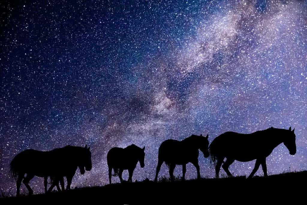 Noches de la Yeguada